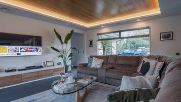 TV, fireplace, video games