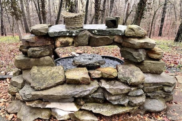 Àrea exterior de l'allotjament