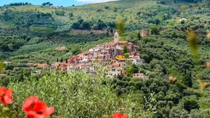 Un village perché sur une colline, doté d’une architecture traditionnelle, d’un imposant beffroi et d’une végétation luxuriante.