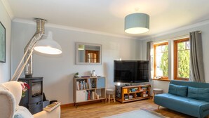 Fernseher, Kamin