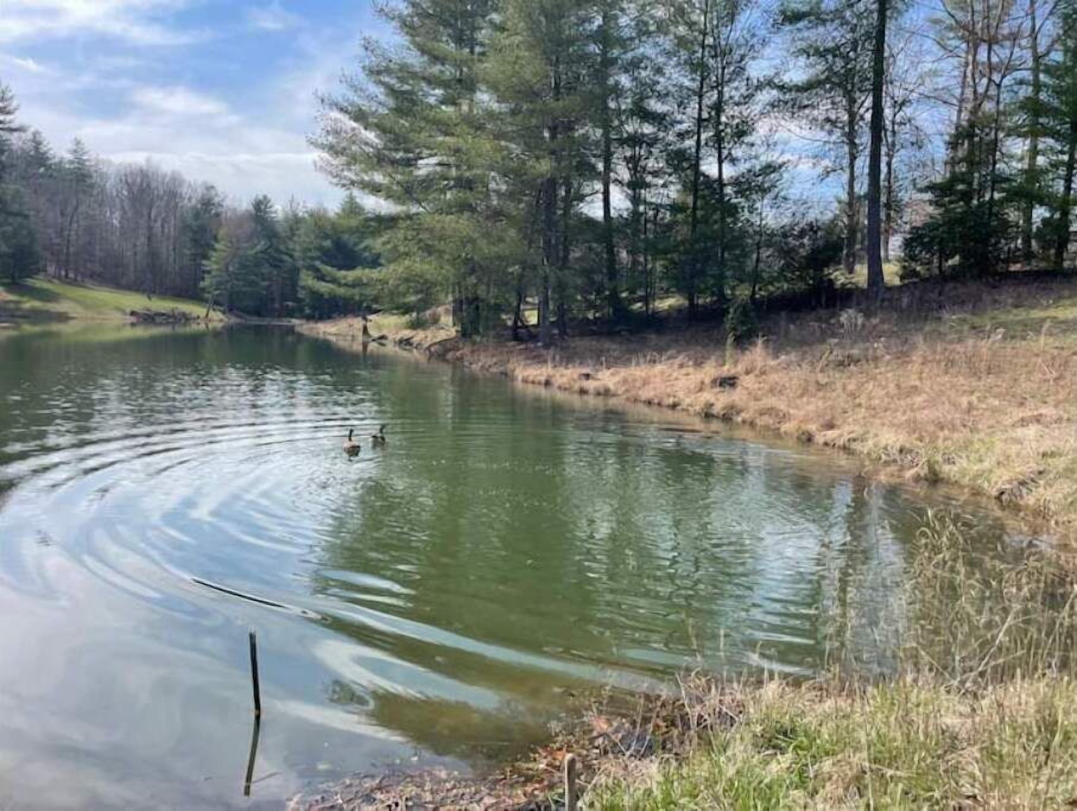 A calm river with ducks swimming, surrounded by trees and grassy banks.