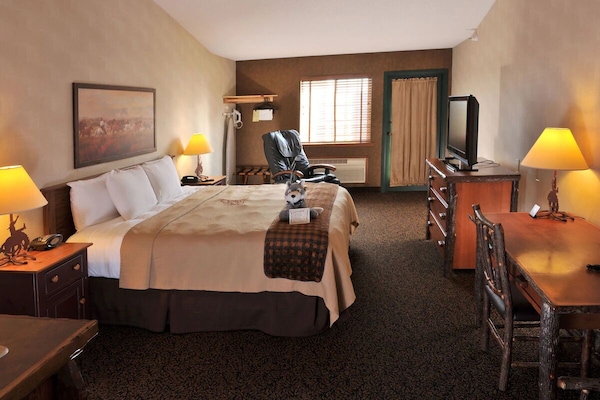 Recharge in a warm, quiet room with desk and TV.
