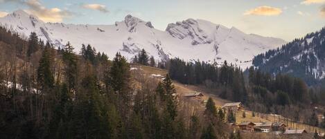 A mountainous landscape with snow-covered peaks and a forested valley.