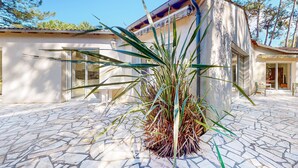 A modern house with a stone-tiled patio and a large agave plant in the center. - Lovely home in Les Mathes with WiFi (Les Mathes)
