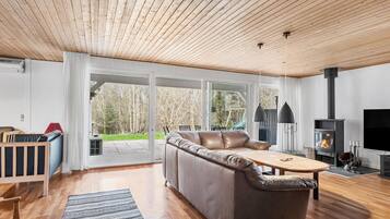 TV, fireplace, table football, ping pong