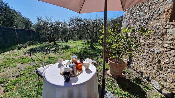 Una mesa al aire libre con mantel, una planta en maceta y una copa de vino.