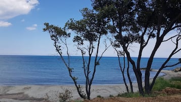 Una playa cerca