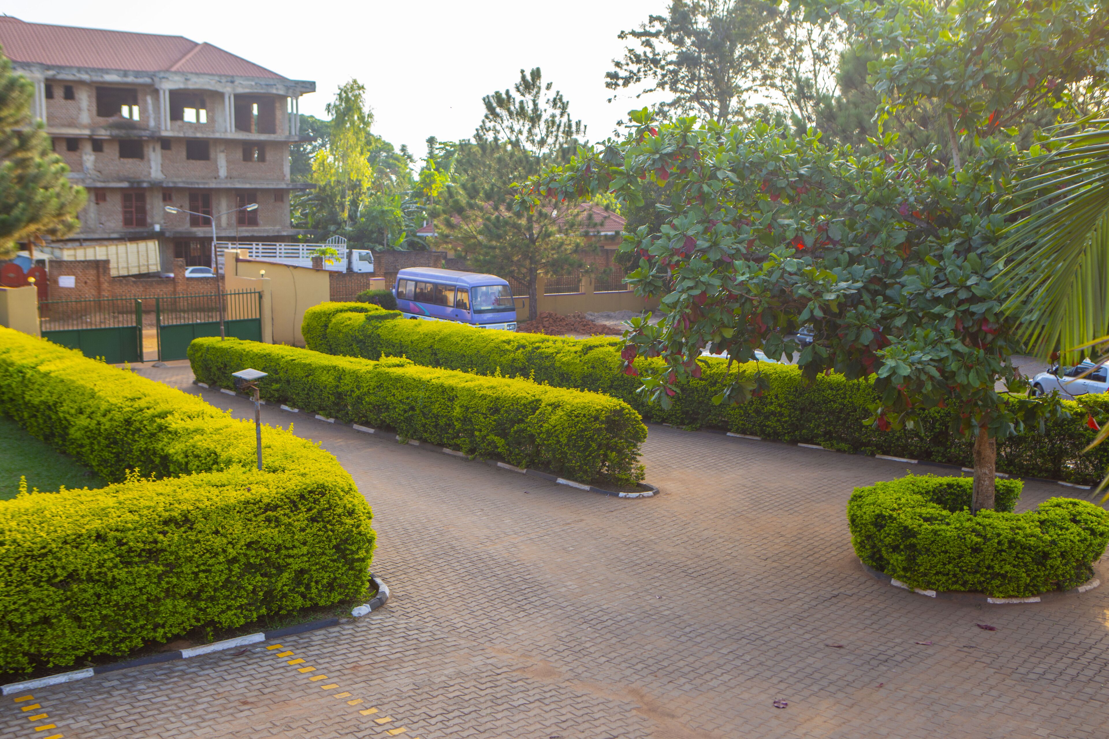 A landscaped area with neatly trimmed hedges, a paved walkway, and a building in the background.
