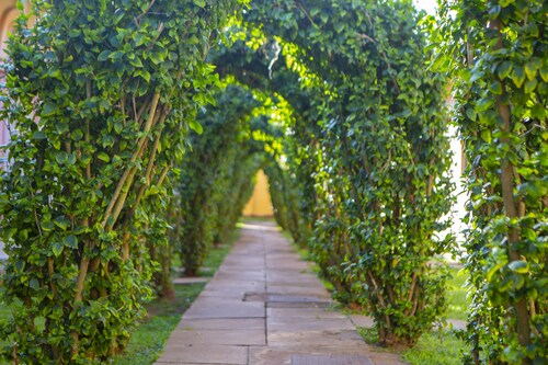 Nv Fort Lugard Hotel Iganga