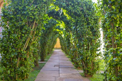 Nv Fort Lugard Hotel Iganga
