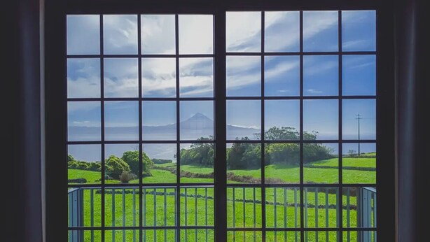 Une vue à travers une fenêtre ornée d’une grille métallique, révélant un paysage verdoyant avec des arbres et une montagne lointaine.