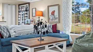 Smart TV, fireplace, DVD player, video library