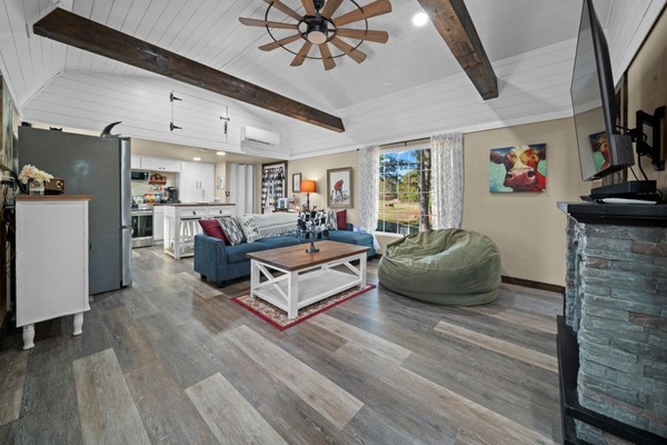 Smart TV, fireplace, DVD player, video library