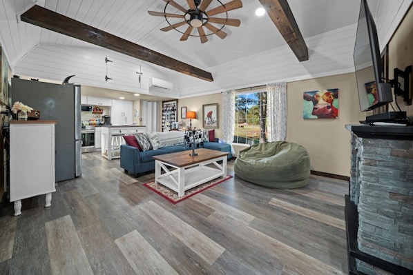 Smart TV, fireplace, DVD player, video library