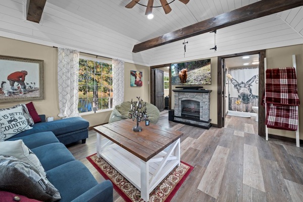 TV connectée, cheminée, lecteur de DVD, vidéothÚque