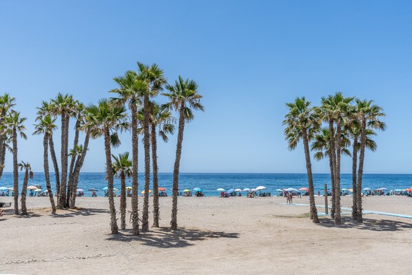 A beach with palm trees and umbrellas.