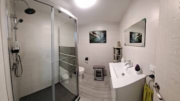 Shower, hair dryer, towels