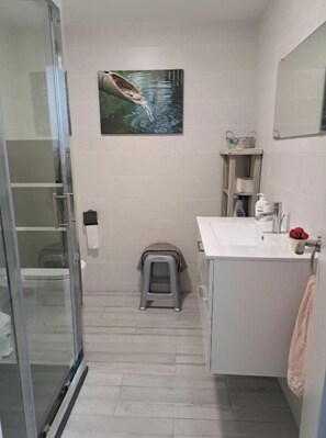 Shower, hair dryer, towels