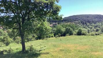 Un paisaje rural con un árbol grande, colinas onduladas y una casa a lo lejos.