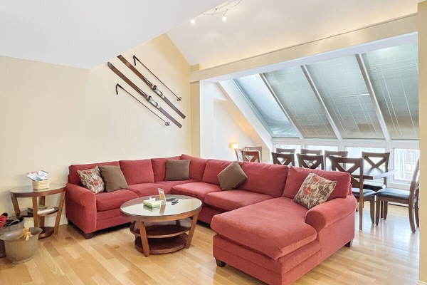 Smart TV, fireplace, DVD player, books
