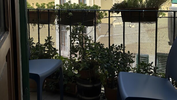 A balcony with potted plants, a chair, and a table.