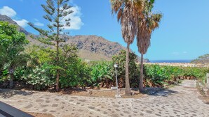 Un sendero pavimentado bordeado de plantas y árboles que conduce hacia un telón de fondo montañoso.