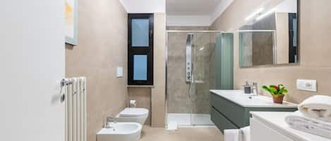 Shower, hair dryer, bidet, towels