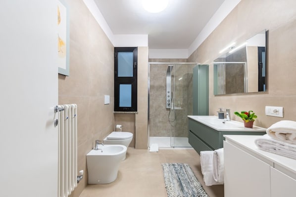 Shower, hair dryer, bidet, towels