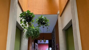 Detalle interior
