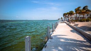 Eine Uferpromenade mit Betonweg, Palmen und Blick auf das Meer.