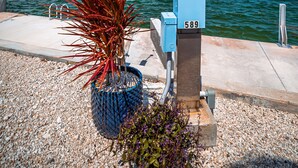 Ein blauer Schaltkasten mit der Nummer 589 in der Nähe von Wasser, einer roten Pflanze und einer Betonkonstruktion.