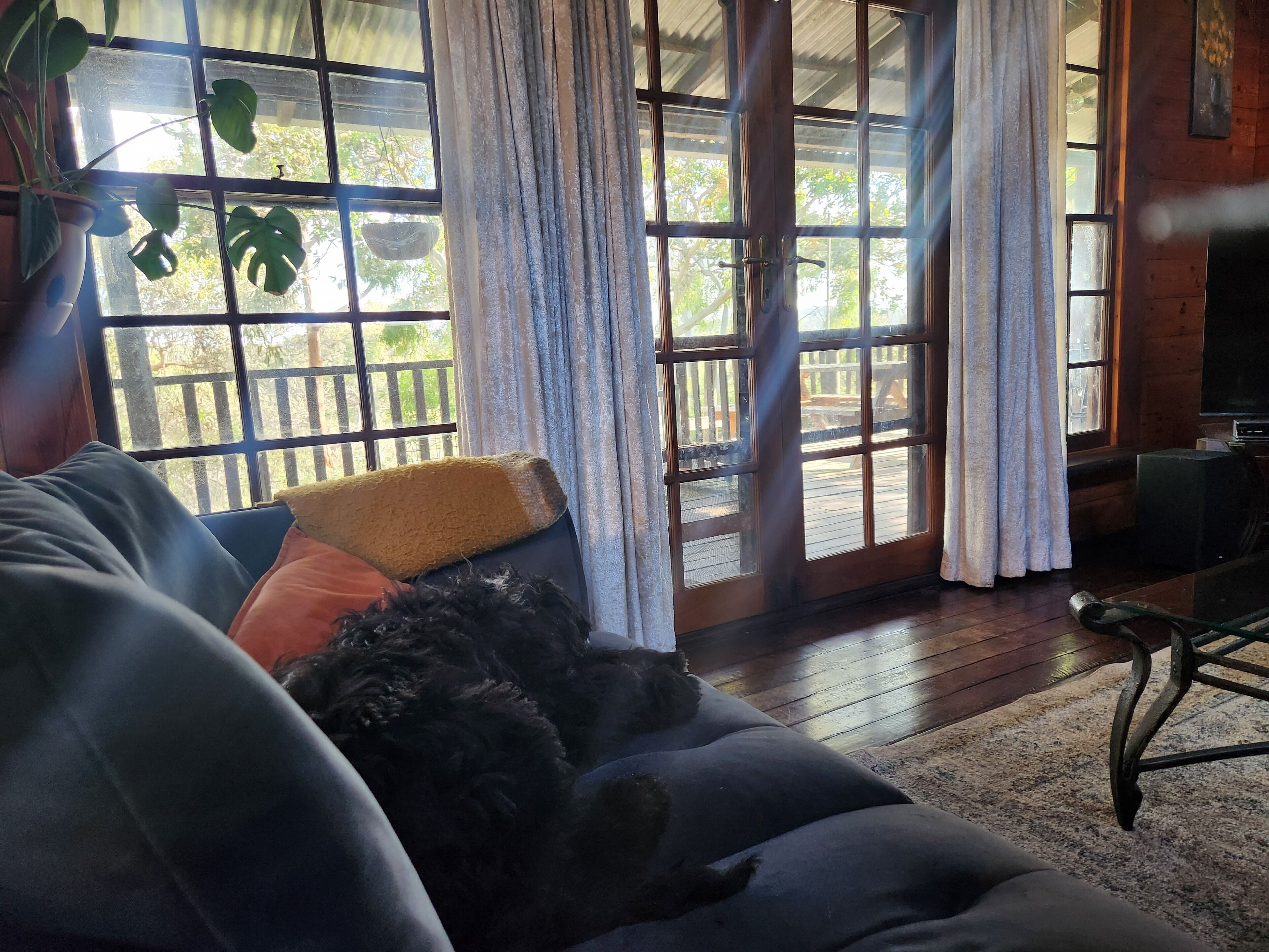 Smart-tv, eldstad, böcker och en stereo