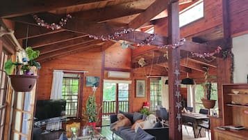 Smart TV, fireplace, books, stereo