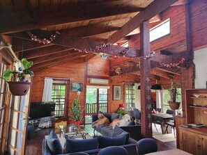 Älytelevisio, takka, kirjoja, stereot