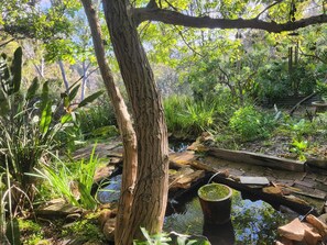 Property grounds - Secluded rustic cottage charm, opposite river walk, close to town. Pet friendly! (Bridgetown)