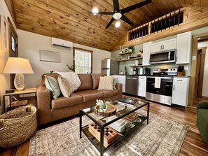 Smart TV, fireplace, books, music library