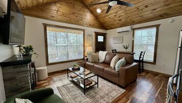 TV connectée, cheminée, livres, médiathèque