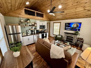 Smart TV, fireplace, books, music library