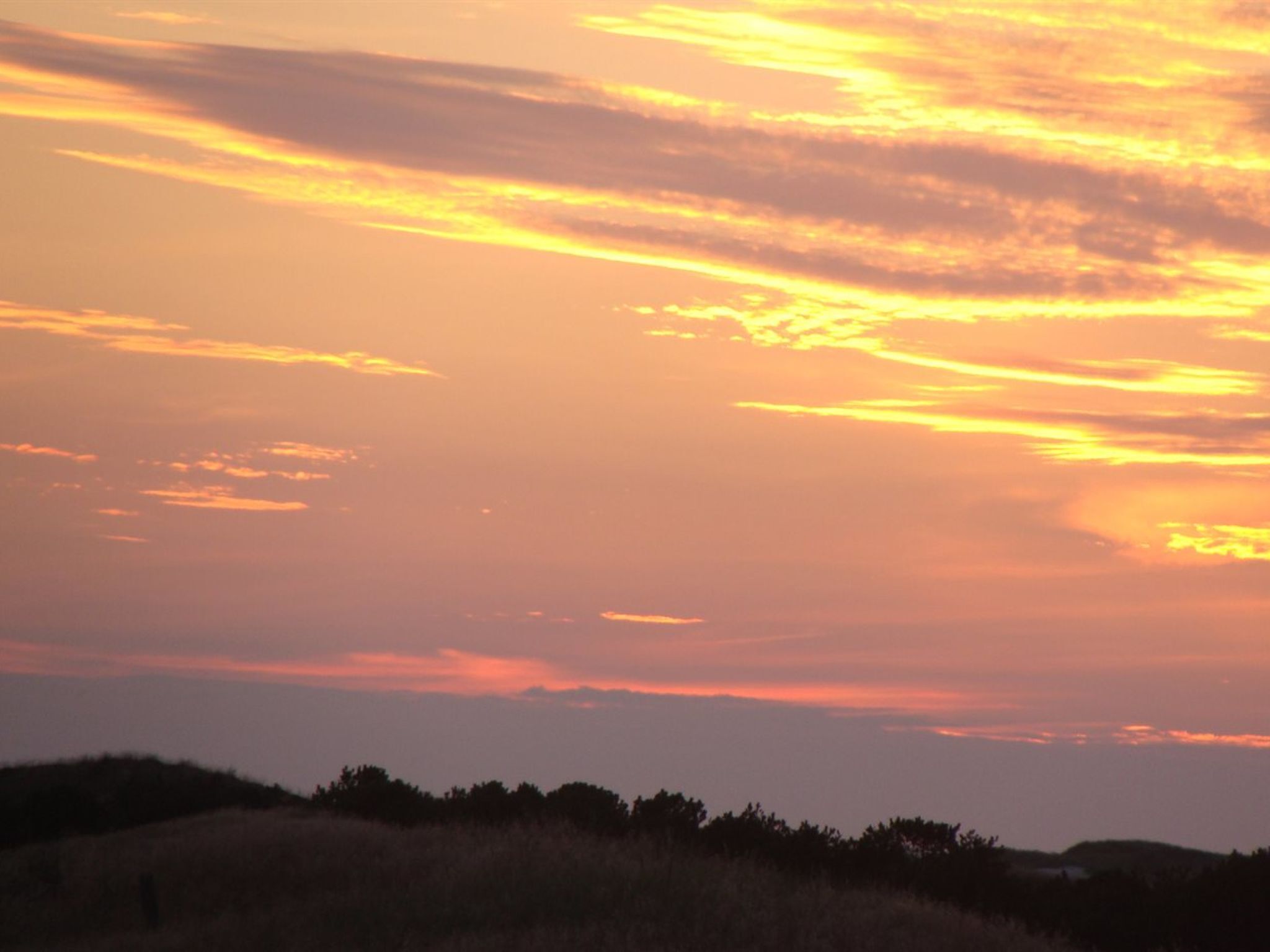 Un coucher de soleil sur un paysage verdoyant, avec un horizon dégagé.