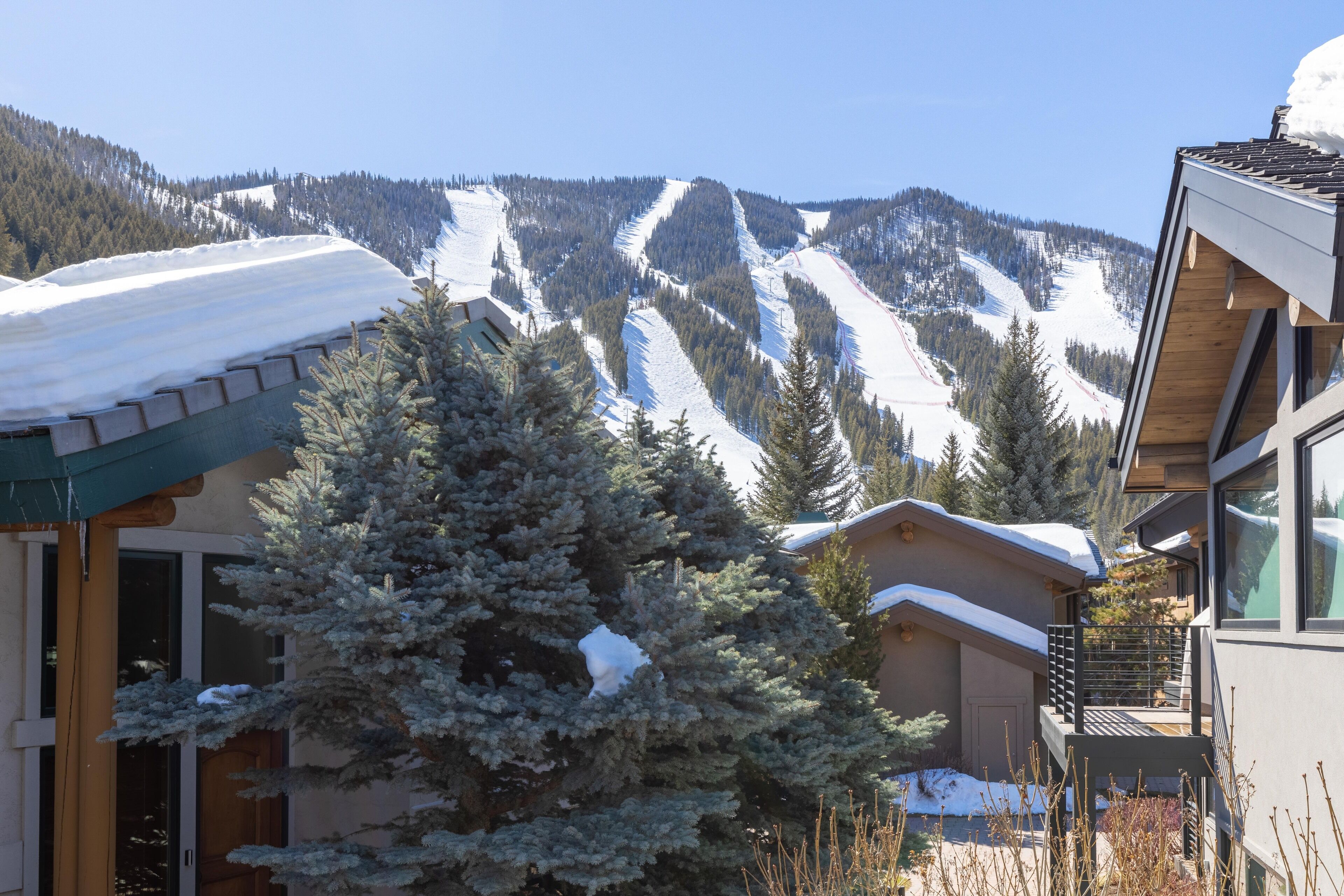 A snow-covered mountain with a ski slope, a building with a balcony, and a snow-covered tree.