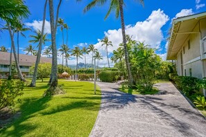 Property grounds - Tropical paradise with pools, hot tub, BBQ, lanai, washer/dryer, AC (Kapaa)