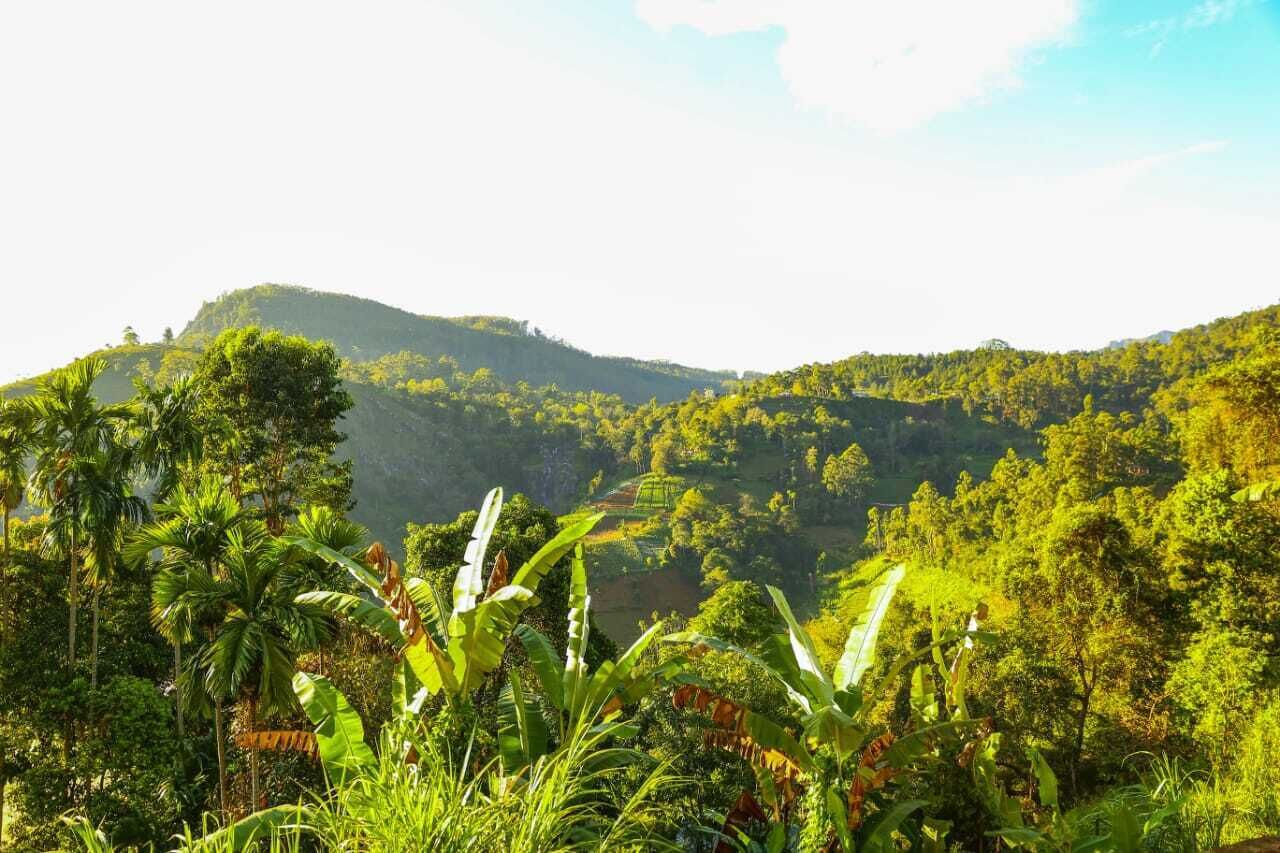 Un paisaje exuberante y verde con vegetación densa y terreno montañoso.