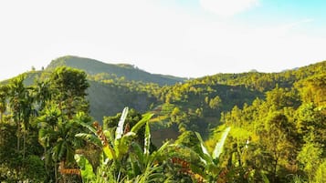 Un paisaje exuberante y verde con vegetación densa y terreno montañoso.