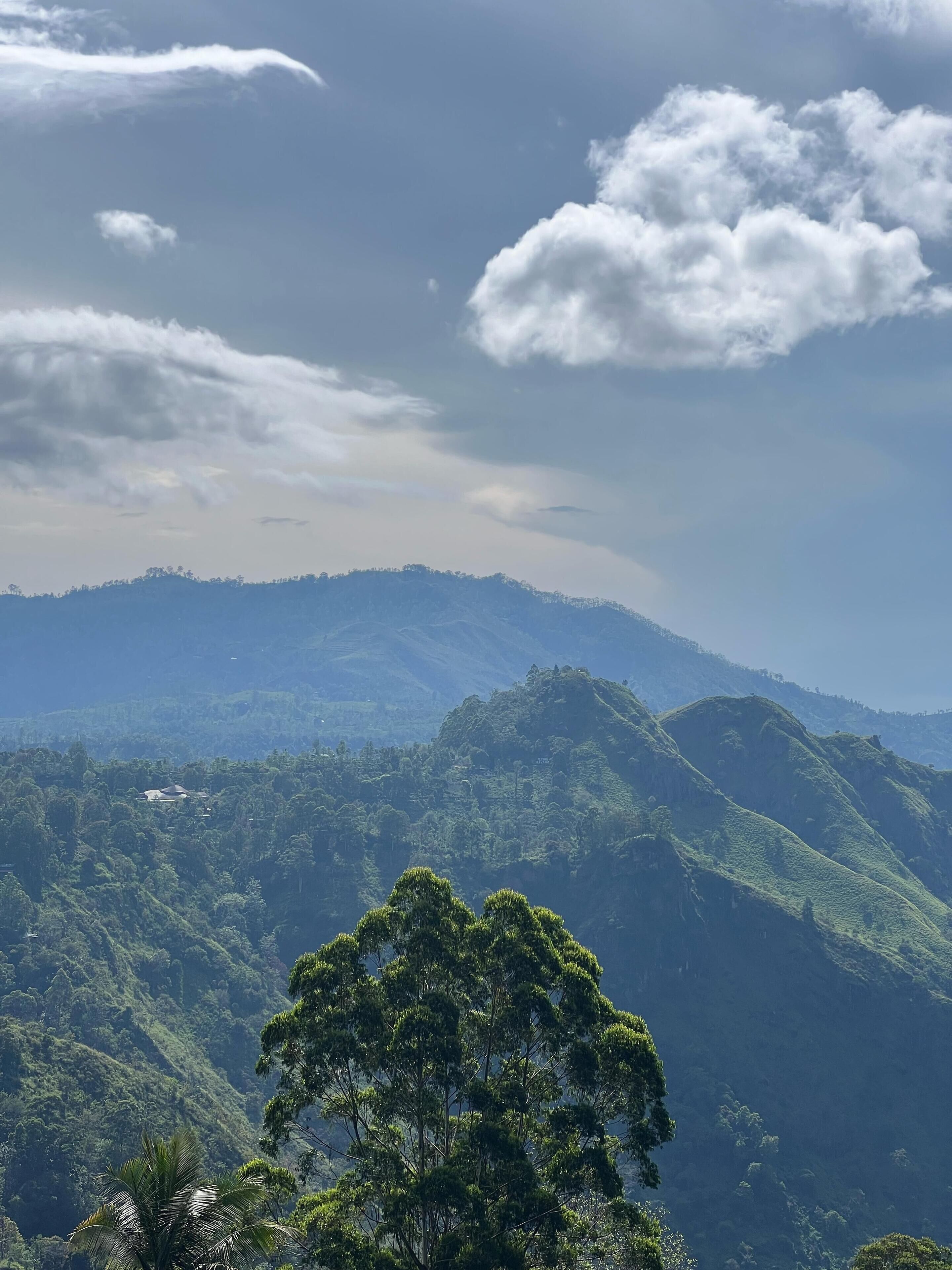 A mountainous landscape with dense greenery and a few buildings in the distance.