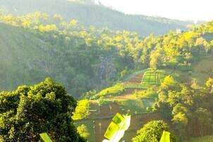 Un paisaje verde exuberante con campos en terrazas y una cascada al fondo.