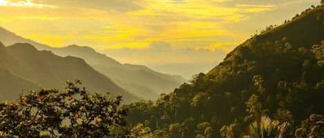 A mountainous landscape with dense vegetation and a clear sky.