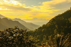 Un paisaje montañoso con vegetación densa y cielo despejado.