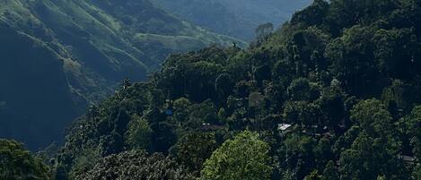 A mountainous landscape with lush greenery and distant hills under a partly cloudy sky.