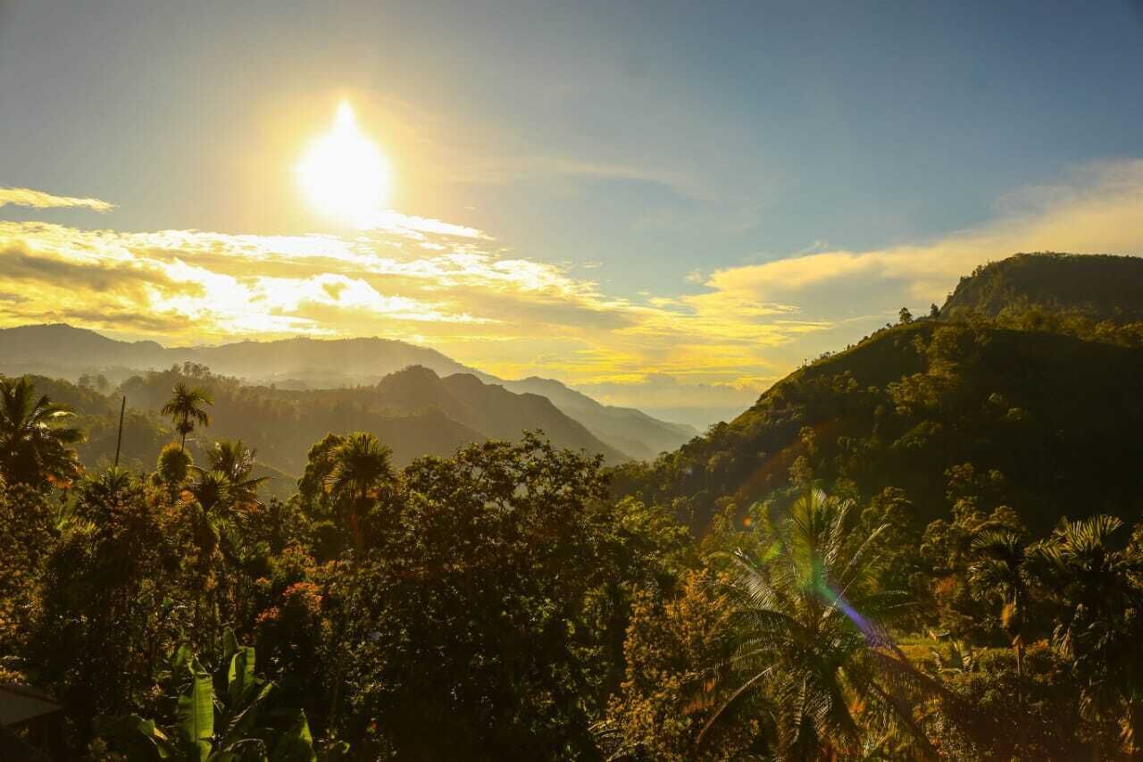 Een bergachtig landschap met weelderige begroeiing en een heldere lucht.