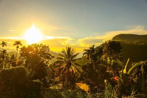 Paisaje tropical con palmeras y un atardecer.